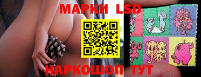 шишки Свободный