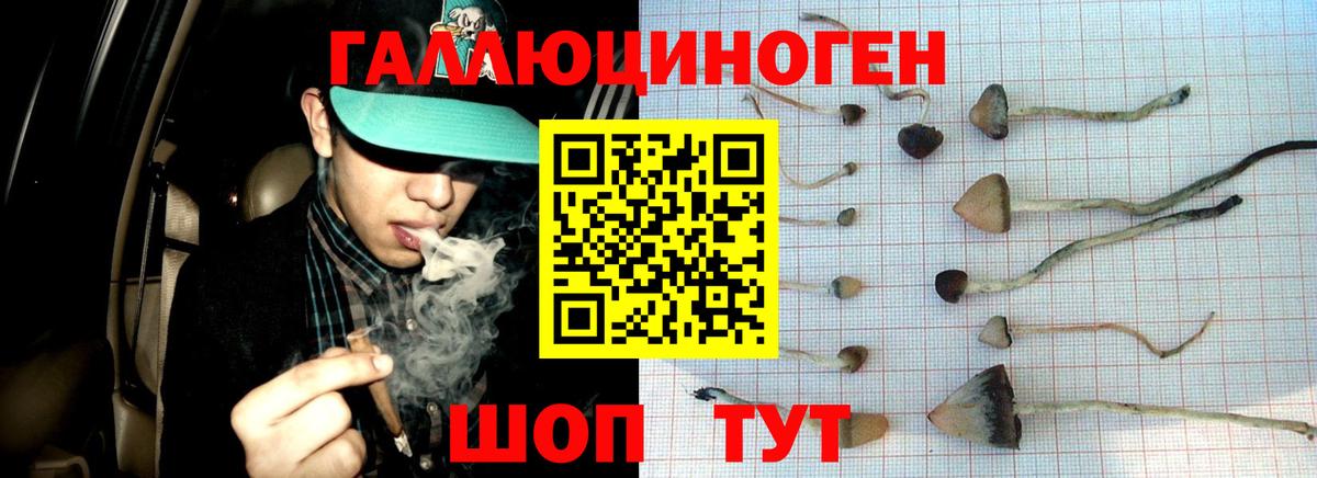 Галлюциногенные грибы MAGIC MUSHROOMS Подольск