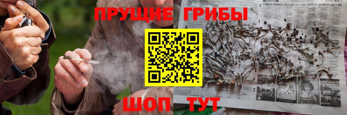 цена   Вход с VPN  Подольск  Псилоцибиновые грибы Magic Shrooms 